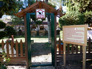 Alanya Deckblatt Katzenpark