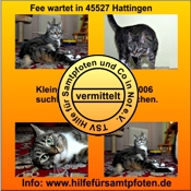 Fee vermittelt