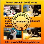 Janush vermittelt