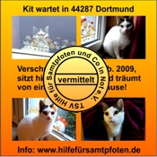 Kit vermittelt