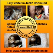 Lilly 2 vermittelt