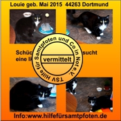 Louie vermittelt