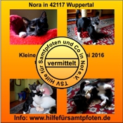 Nora vermittelt