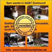 Sam vermittelt