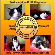 Suki vermittelt