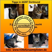 Tigga vermittelt