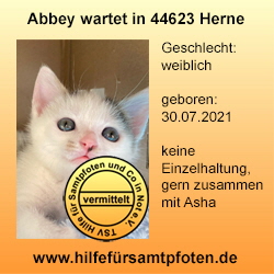 Abbey vermittelt