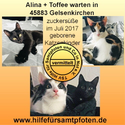 Alina und Toffee vermittelt 201802