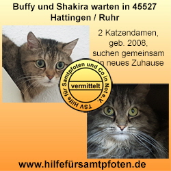 Buffy und Shakira vermittelt