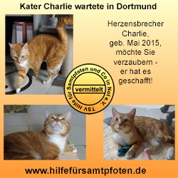 Charlie Collage vermittelt2