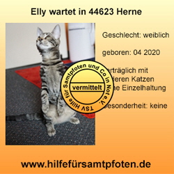 Elly Collage vermittelt