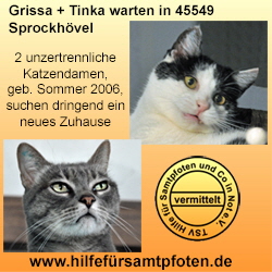 Grissa und Tinka vermittelt