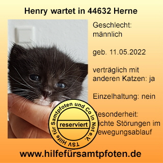 Henry Collage- reserviert