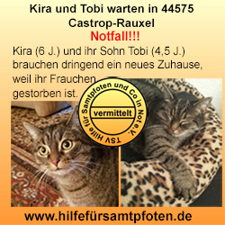 Kira und Tobi 201802 vermittelt