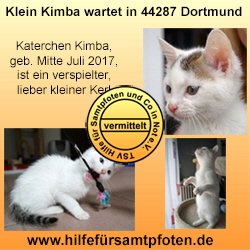 Klein Kimba Collage vermittelt