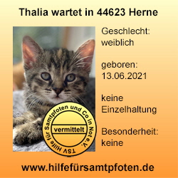 Thalia vermittelt